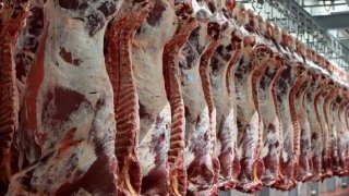 کمبودی برای عرضه گوشت قرمز در حوزه دام سنگین نداریم/ پیشبینی تولید ۹۲۳ هزار تن گوشت کمبودی برای عرضه گوشت قرمز در حوزه دام سنگین نداریم/ پیشبینی تولید ۹۲۳ هزار تن گوشت