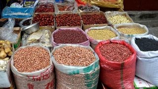 حبوبات هم نجومی شد/ مسئولان در خواب غفلت!