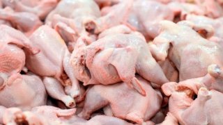 قیمت انواع مرغ یکشنبه ۲۵ دی ۱۴۰۱ قیمت انواع مرغ یکشنبه ۲۵ دی ۱۴۰۱