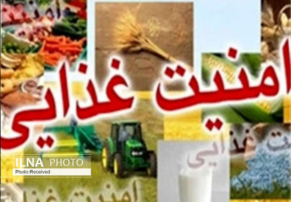 افزایش ناترازی تجاری کشاورزی کشور از ۳ به ۱۱ میلیارد دلار/ تشریح اهمیت امنیت غذایی افزایش ناترازی تجاری کشاورزی کشور از ۳ به ۱۱ میلیارد دلار/ تشریح اهمیت امنیت غذایی